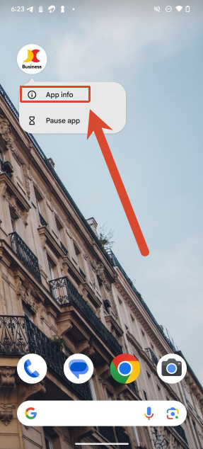 Long press the app icon and tap App info